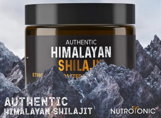 SHILAJIT ORIGINAL HIMALAYA